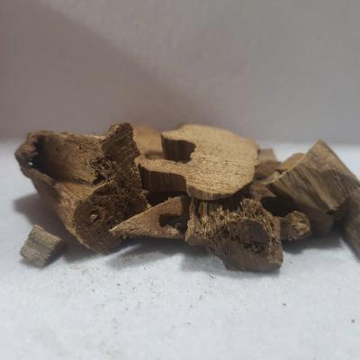 العود ساناي الفلبين